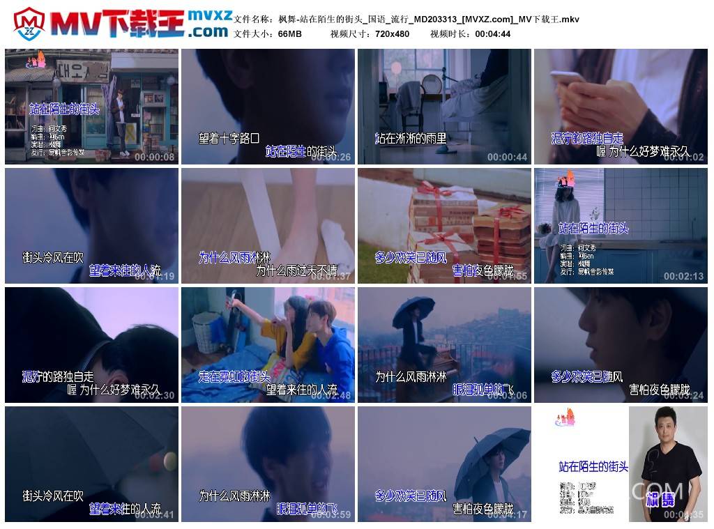 枫舞-站在陌生的街头_国语_流行_MD203313